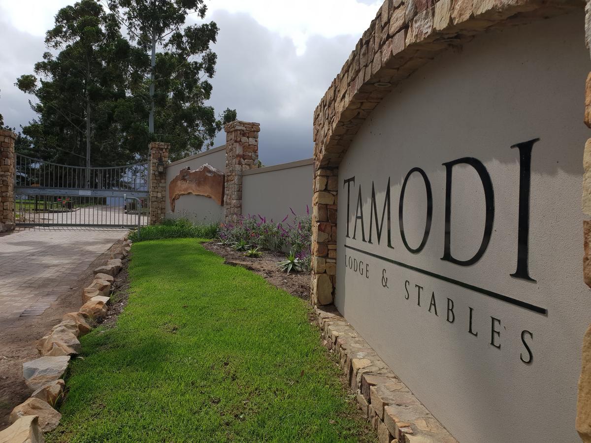 Tamodi Lodge Плетенбърг Бей Екстериор снимка